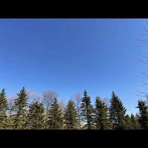 Meet your Posher, Richelle